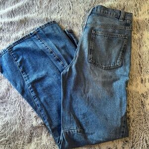 Free People Eden slouchy wide leg jean